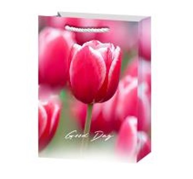 Пакет подарочный Тюльпаны 3 23*18*10см