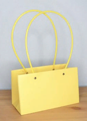 Пакет матовый Мастхэв стайл прямоугольный 22*10*13см пастельно-желтый/желтый