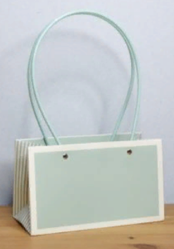 Пакет матовый Мастхэв стайл прямоугольный 22*10*13см тиффани лайт/белый