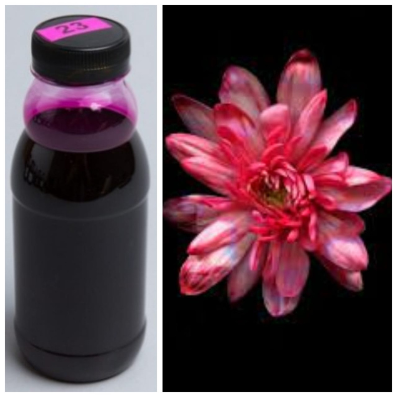 Краска флористическая №23 Рождественский красный 0,3 л.