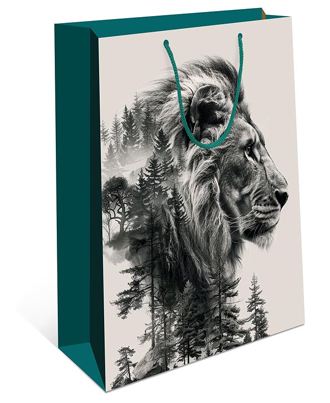 Сумка подарочная 0195.309