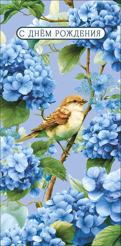 Конверт для денег С Днем Рождения! 0321.479