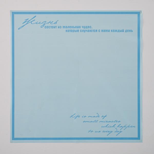 Пленка матовая Жизнь Небесно-голубой 10 листов 58*58см 50мкм