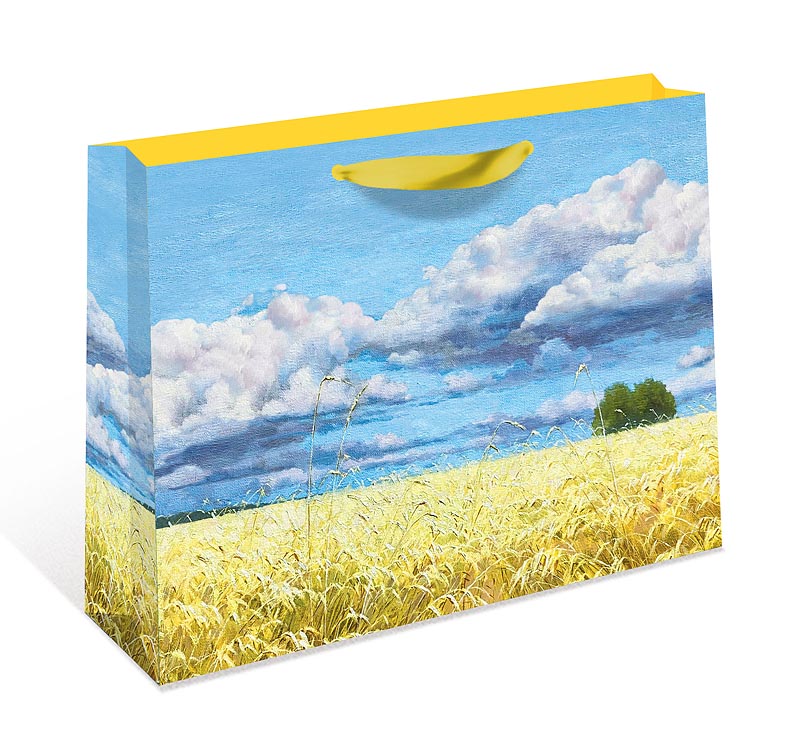 Сумка бумажная стандарт плюс 2320.014 230х178х98