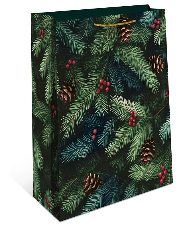 Сумка подарочная 0192.594 180х223х100