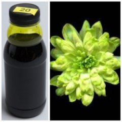 Краска флористическая