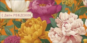 Конверт для денег С Днем Рождения! 0322.281