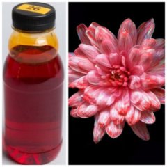 Краска флористическая