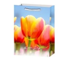 Пакет подарочный Тюльпаны 4 23*18*10см