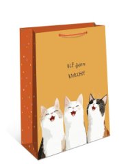 Сумка подарочная 0193.652 260х320х120