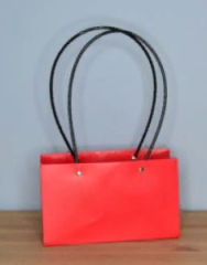 Пакет матовый Мастхэв прямоугольный 22*10*13см красный