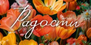 Конверт для денег Радости 0318.974