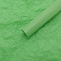 Упаковочный материал ТИШЬЮ,  50 см х 66 см, 10 листов/упак., светло-зеленый