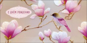 Конверт для денег С Днем Рождения! 0322.270