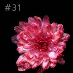 Краска флористическая №31 Киноварь 0,3 л.