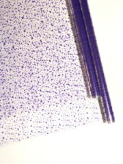 Пленка Мошка фиолетовая 70см*10ярд ± 5%