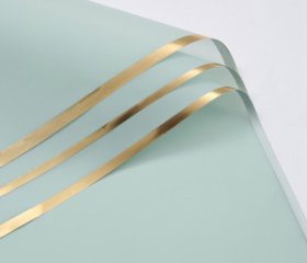 Упак. материал флористическая пленка Золотой кант, 58х58 см, пастельно-зеленый, 20 листов /упак