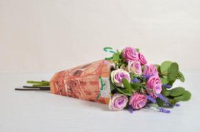 Трапеция Переноска Венеция красная