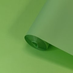 Пленка матовая Экостиль салатовый пастель 58см 50мкр 30м±5%