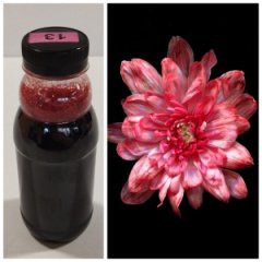 Краска флористическая