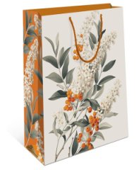 Сумка подарочная 0195.331