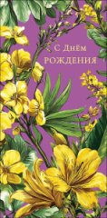 Конверт для денег С Днем Рождения! 0322.222