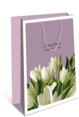 Сумка подарочная 6 шт 0193.232