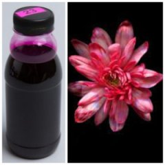 Краска флористическая