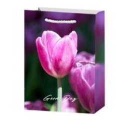 Пакет подарочный Тюльпаны 1 23*18*10см