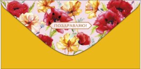 Конверт для денег Поздравляю! 0319.601