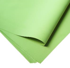 Фоамиран 60см х70см, (10 листов в уп.), 1,2 мм цв. салатовый