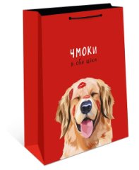 Сумка подарочная 0193.495