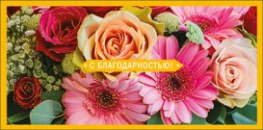 Конверт для денег С благодарностью 0323.237