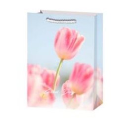 Пакет подарочный Тюльпаны 2 23*18*10см