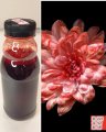 Краска флористическая №32 Коралловый 0,3 л.