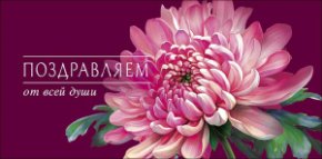Конверт для денег Поздравляем 0322.948