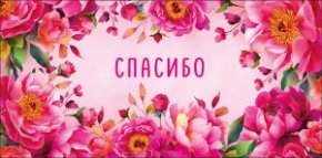 Конверт для денег Спасибо! 0322.494