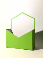 Конверт из картона под композицию 180*240*70 салатовый однотонный