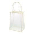 Сумка-трапеция прозрачная Кант с пластиковыми ручками 24,5x15x35cm кремовый