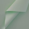 Пленка матовая однотонная двухсторонняя светло-салатовый 58см*10м±5% 65мкм