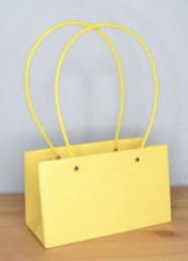 Пакет матовый Мастхэв стайл прямоугольный 22*10*13см пастельно-желтый/желтый