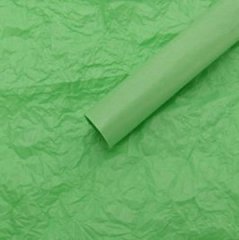 Упаковочный материал ТИШЬЮ,  50 см х 66 см, 10 листов/упак., светло-зеленый