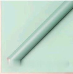 Набор матовой пленки с золотой каймой 58/58 см 20 листов пастельно-мятный