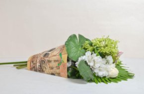 Трапеция Переноска Венеция желтая