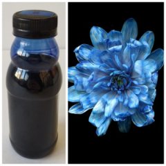 Краска флористическая №8 Темно-синий 0,3 л.