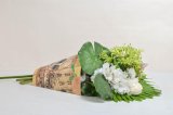 Трапеция Переноска Венеция желтая