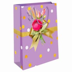 Сумка подарочная 0292.316