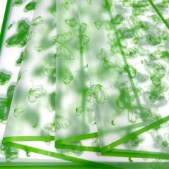 Пленка матовая Бабочки рамка салатовый 20 листов 58*58см 50мкм