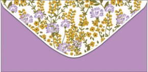 Конверт для денег Цветы 0321.670