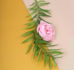 Набор пленки матовой двухсторонней,10 листов 58*58 цв. золотисто-желтый/бежевый